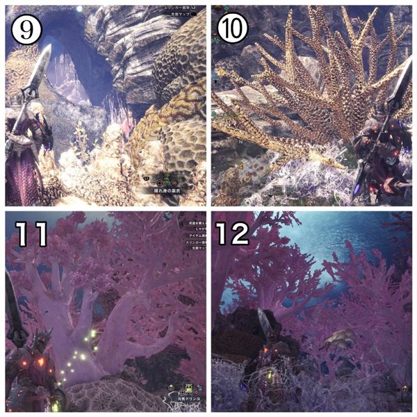 モンハン世界のアクアリウム