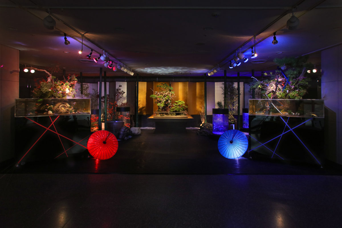 和風アクアリウム・GA☆KYO展