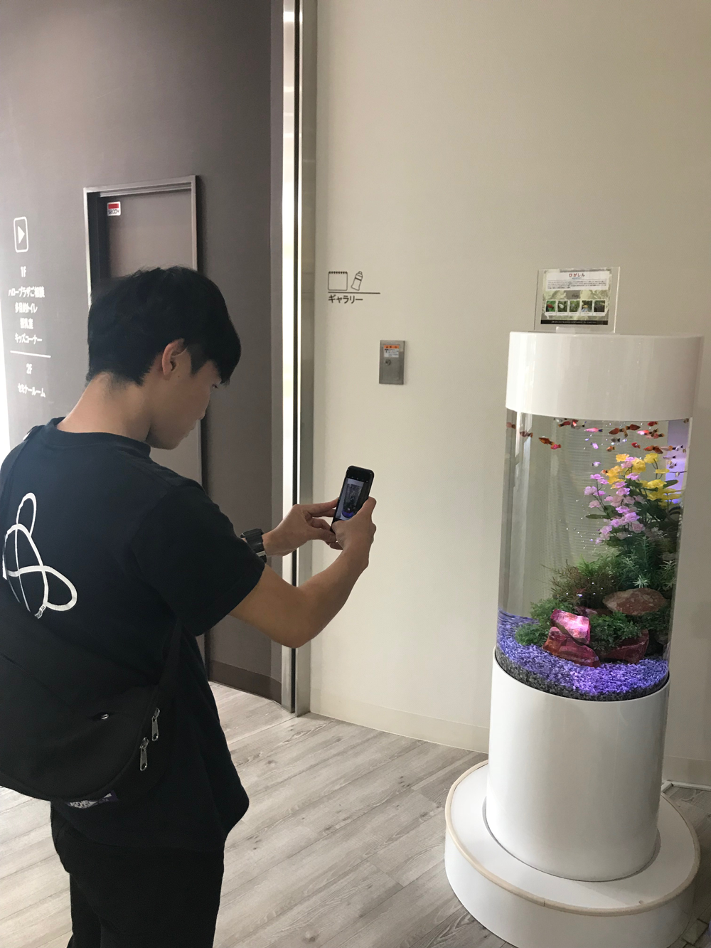 アクアリウムのメンテナンスのはじめは現状撮影