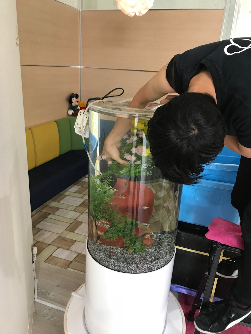 水槽内の装飾を取り出すのも一苦労