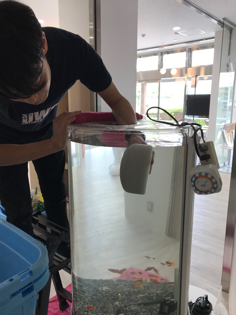 水槽内の苔をお掃除中!水槽に傷をつけないよう慎重にクリーニング。傷つきやすいアクリルを磨くのは職人の腕の見せ所!