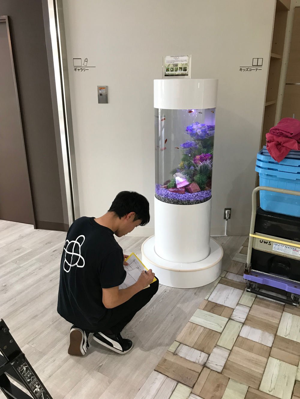 レンタル水槽の作業レポート記入