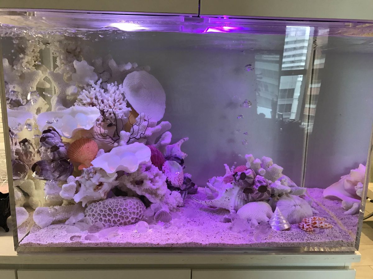 好きな色を入れることで自分好みの水槽へ