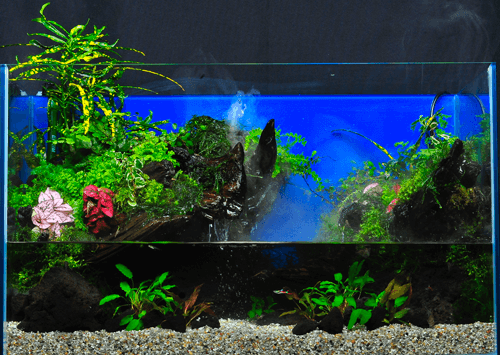 マテリアルマーケット アンダー君 溶岩石 組み合わせるだけでとっても楽しい コゴト 東京のレンタル水槽 アクアリウムの会社uws