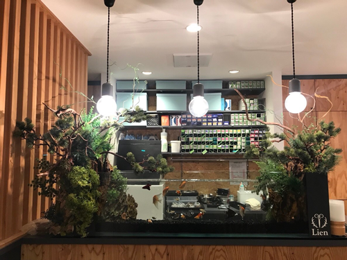 Smart 美容室lien様 事例 Smart Works 東京のレンタル水槽 アクアリウムの会社uws